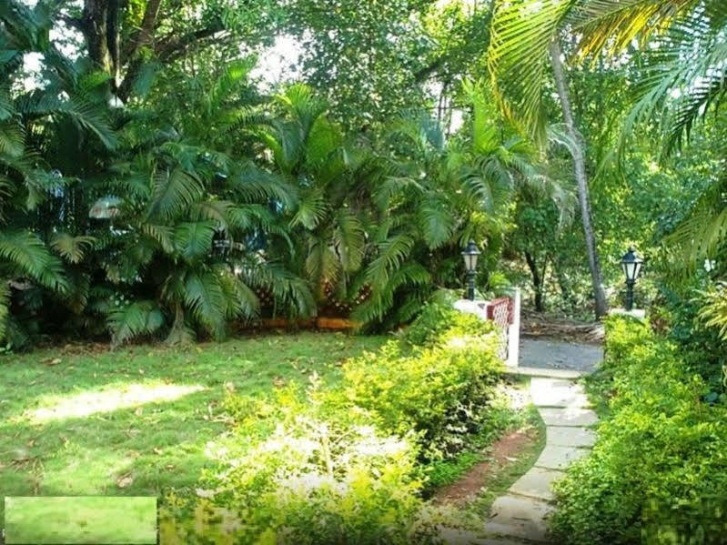 Little Italy Ξενοδοχείο Calangute Εξωτερικό φωτογραφία
